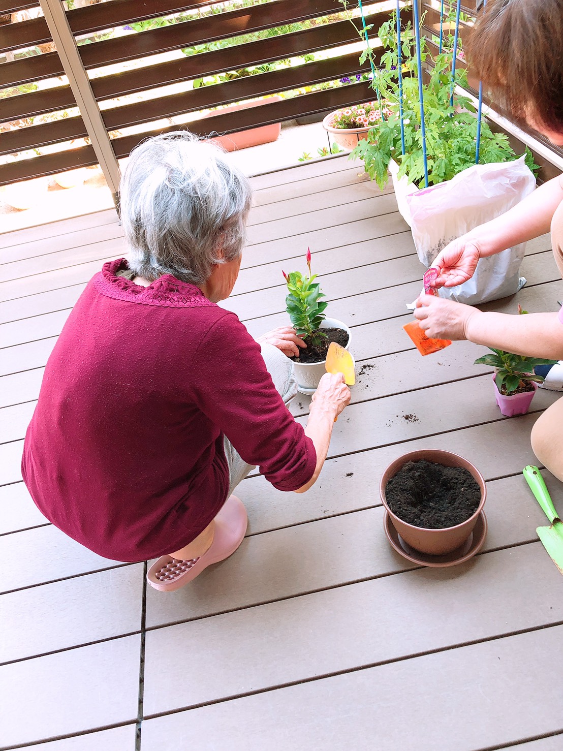 皆さまこんにちわ。梅雨が明けましたね。室内活動が多いこの季節。

利用者様の笑顔が増えるよう、園芸大会を行いました。

職員のお知り合いの方から、苗や土などを寄付して頂き、

利用者様と一緒に、可愛いお花を植えました。